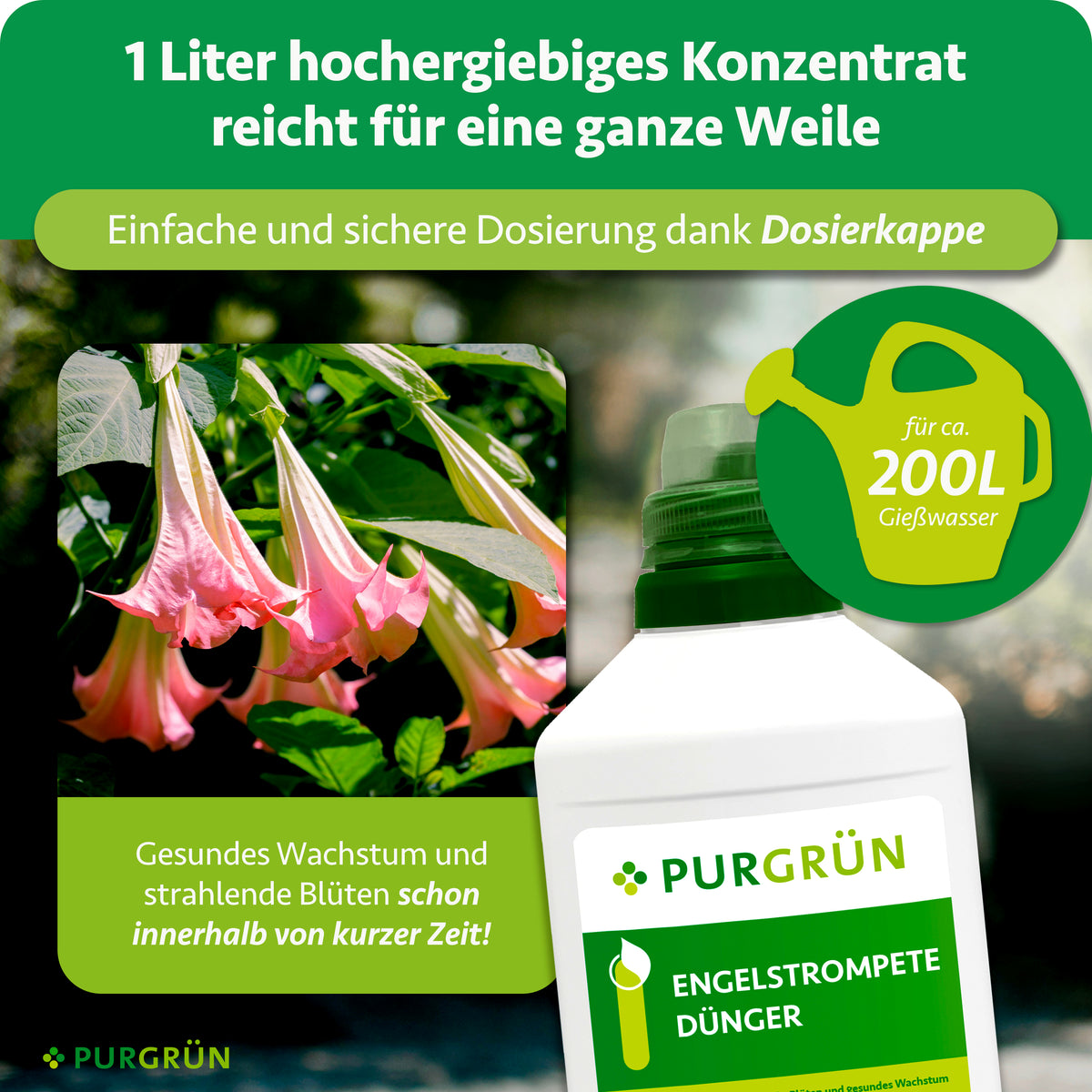 1 Liter Engelstrompete-Dünger als Konzentrat mit Dosierkappe reicht für etwa 200 Liter Gießwasser.