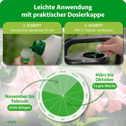 Anwendung: 5 ml Konzentrat mit 1 Liter Wasser verdünnen; von März bis Oktober einmal wöchentlich, von November bis Februar nicht düngen.