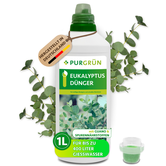 Purgrün Eukalyptus-Dünger in der 1-Liter-Flasche mit Dosierkappe und Eukalyptuszweigen, hergestellt in Deutschland und ausreichend für bis zu 400 Liter Gießwasser.