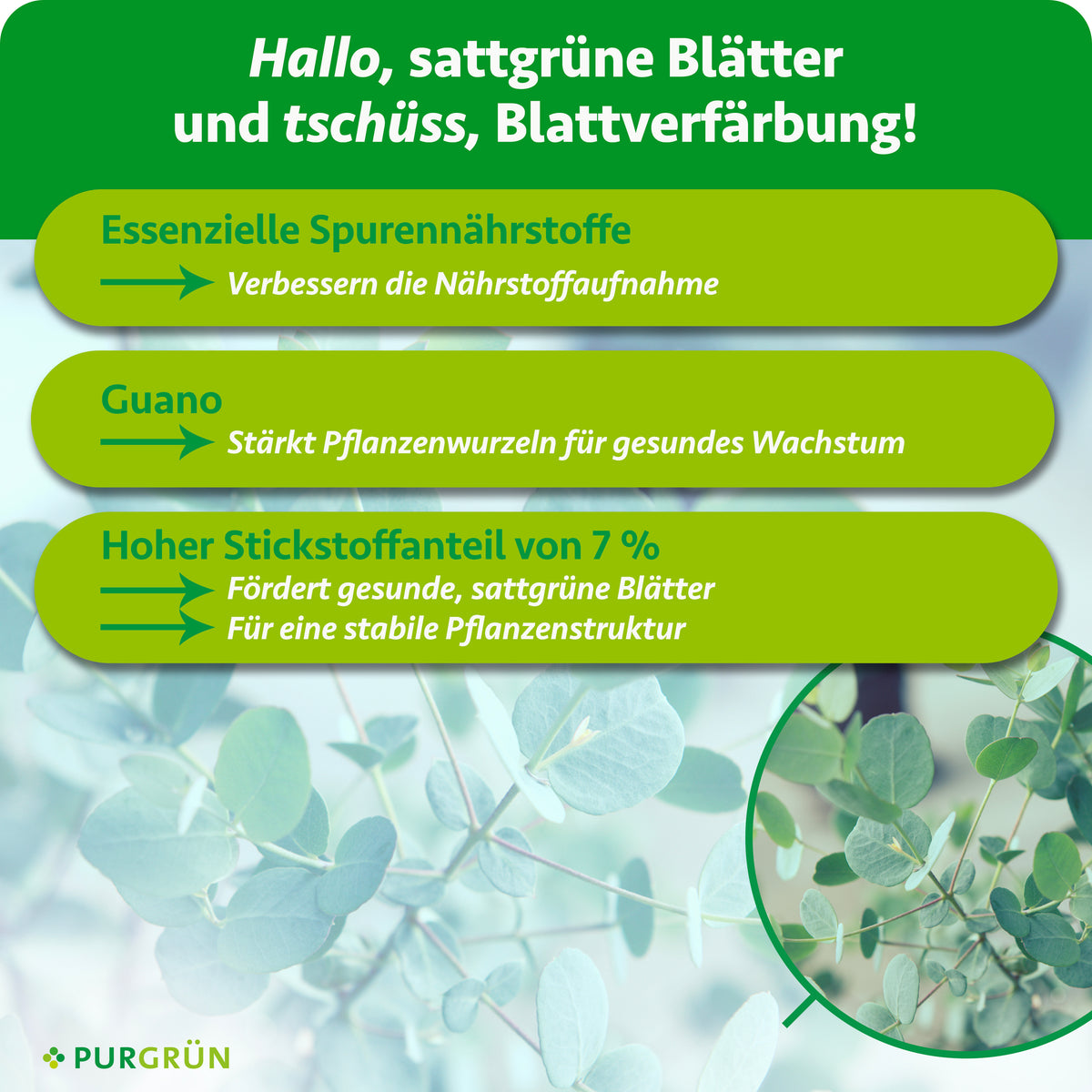 Essenzielle Spurennährstoffe verbessern die Nährstoffaufnahme, Guano stärkt die Pflanzenwurzeln und 7 % Stickstoff fördern sattgrüne Blätter sowie eine stabile Pflanzenstruktur.