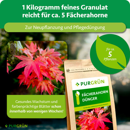 1 kg feines Granulat reicht für ca. 5 Fächerahorne und eignet sich zur Neupflanzung sowie Pflegedüngung.