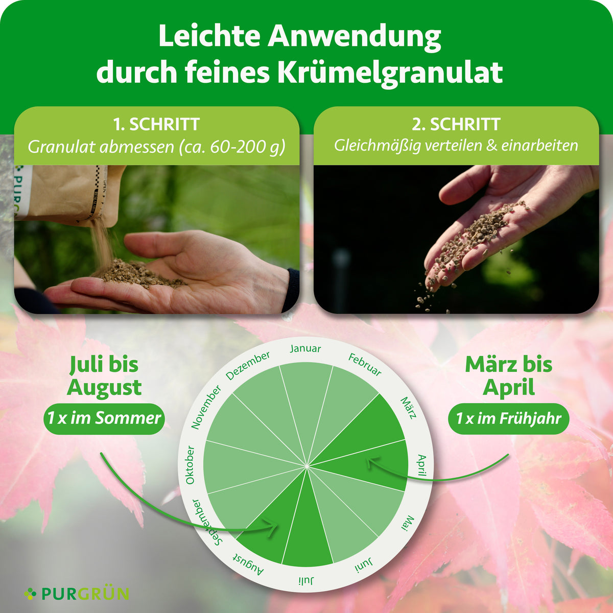 60–200 g Granulat abmessen, gleichmäßig verteilen und einarbeiten. Einmal von März bis April und einmal von Juli bis August düngen.