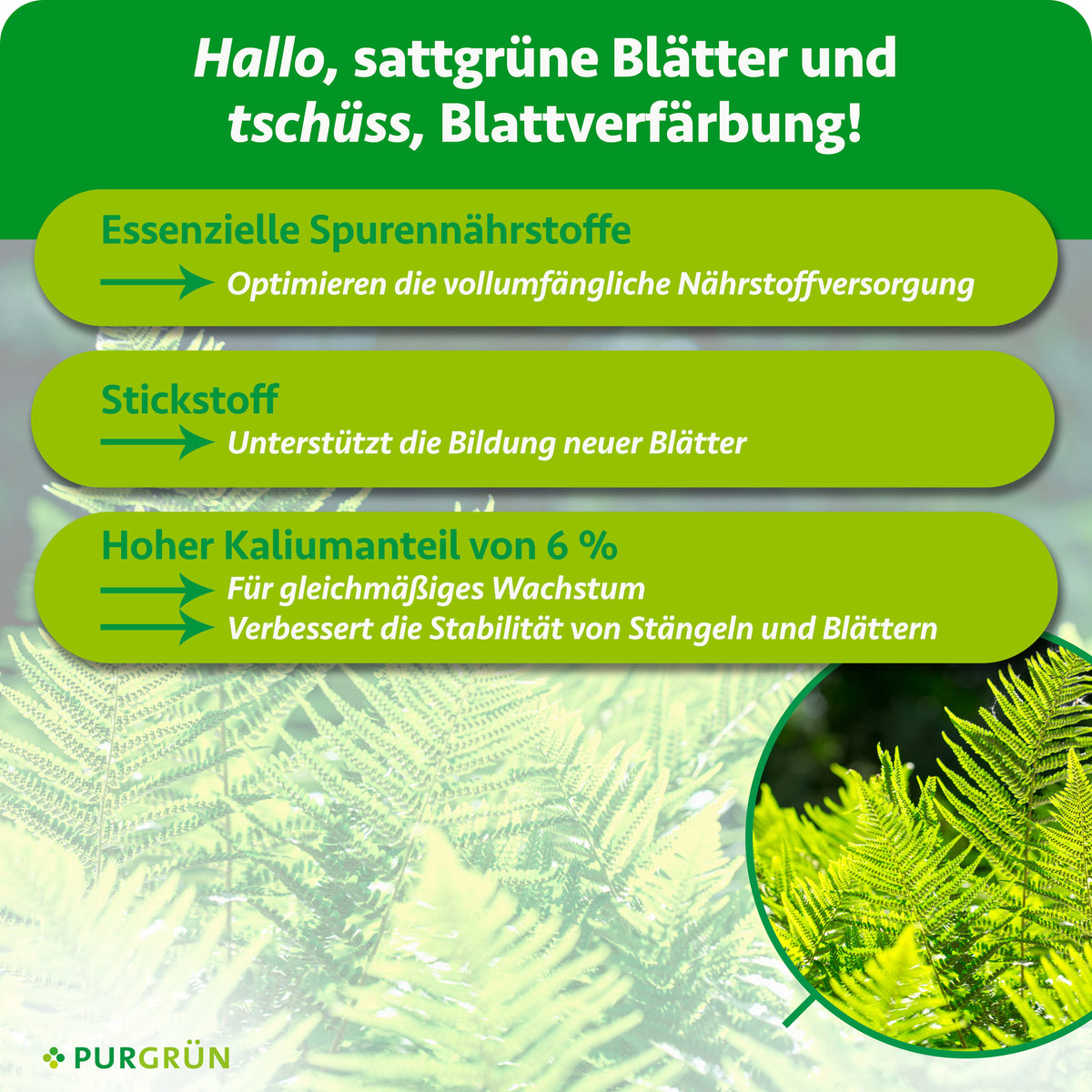Essenzielle Spurennährstoffe optimieren die Nährstoffversorgung, Stickstoff unterstützt neue Blätter und 6 % Kalium fördern gleichmäßiges Wachstum sowie stabile Stängel und Blätter.
