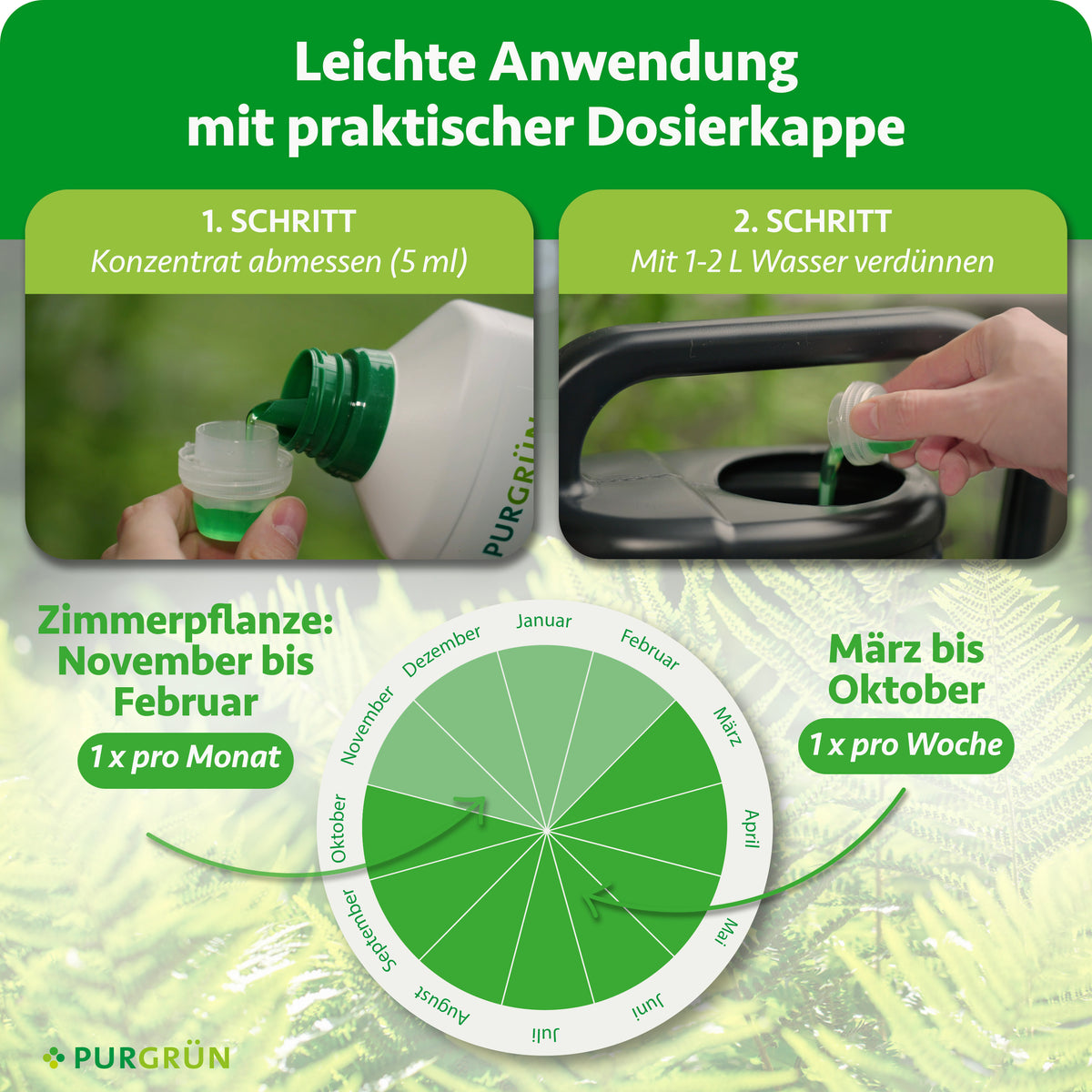 Anwendung: 5 ml Konzentrat abmessen und mit 1–2 Litern Wasser verdünnen. Zimmerpflanzen von November bis Februar einmal monatlich, von März bis Oktober einmal wöchentlich düngen.