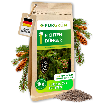 Purgrün Fichten-Dünger im 1-kg-Beutel für ca. 2-3 Fichten, umgeben von Fichtenzweigen, Zapfen und feinem Granulat.