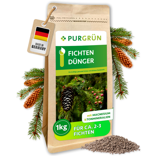 Purgrün Fichten-Dünger im 1-kg-Beutel für ca. 2-3 Fichten, umgeben von Fichtenzweigen, Zapfen und feinem Granulat.