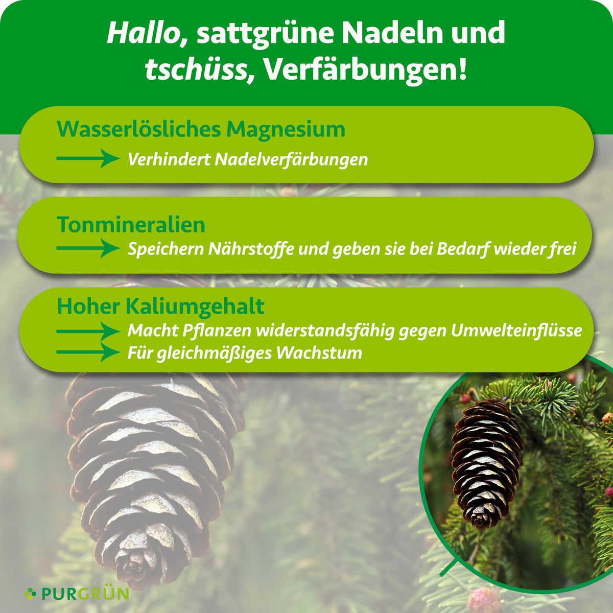 Wasserlösliches Magnesium verhindert Nadelverfärbungen, Tonmineralien speichern Nährstoffe, und ein hoher Kaliumgehalt fördert Widerstandsfähigkeit und gleichmäßiges Wachstum.