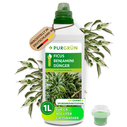 Purgrün Ficus-Benjamini-Dünger, 1 Liter, mit Dosierkappe; reicht für ca. 400 Liter Gießwasser.