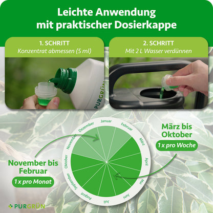 Anwendung: 5 ml Konzentrat mit 2 Litern Wasser verdünnen; März bis Oktober einmal pro Woche, November bis Februar einmal pro Monat düngen.