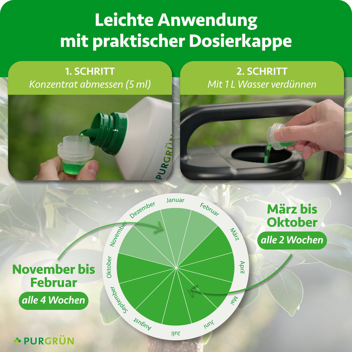 Anwendung: 5 ml Konzentrat mit 1 L Wasser verdünnen; März bis Oktober alle 2 Wochen, November bis Februar alle 4 Wochen düngen.