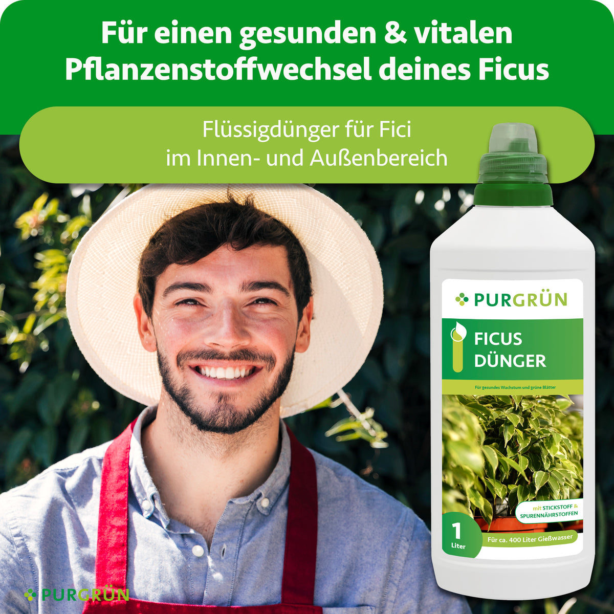 Flüssigdünger für Fici im Innen- und Außenbereich, für einen gesunden und vitalen Pflanzenstoffwechsel.