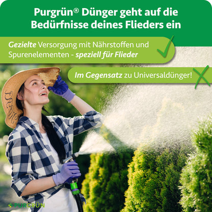 Purgrün Fliederdünger versorgt Flieder gezielt mit Nährstoffen und Spurenelementen – im Gegensatz zu Universaldünger.