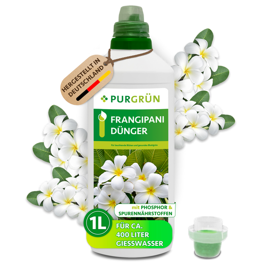 Purgrün Frangipani-Dünger in der 1-Liter-Flasche mit Dosierkappe und weißen Frangipani-Blüten; ausreichend für ca. 400 Liter Gießwasser.