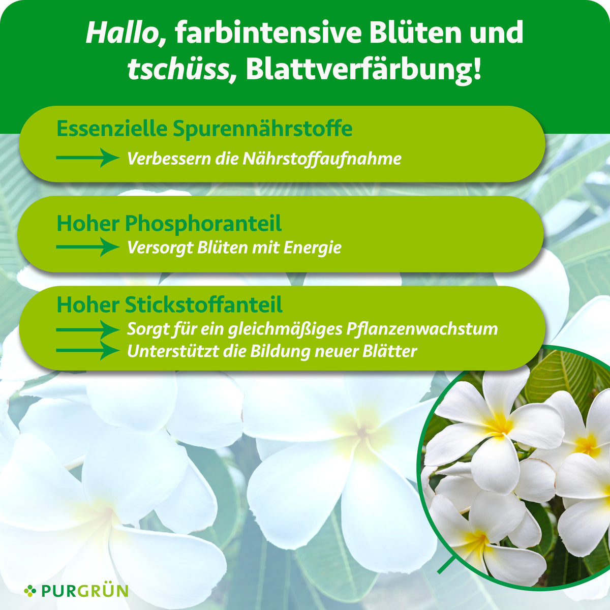 Essenzielle Spurennährstoffe verbessern die Nährstoffaufnahme; hoher Phosphoranteil versorgt Blüten mit Energie, hoher Stickstoffanteil unterstützt gleichmäßiges Wachstum und neue Blätter.