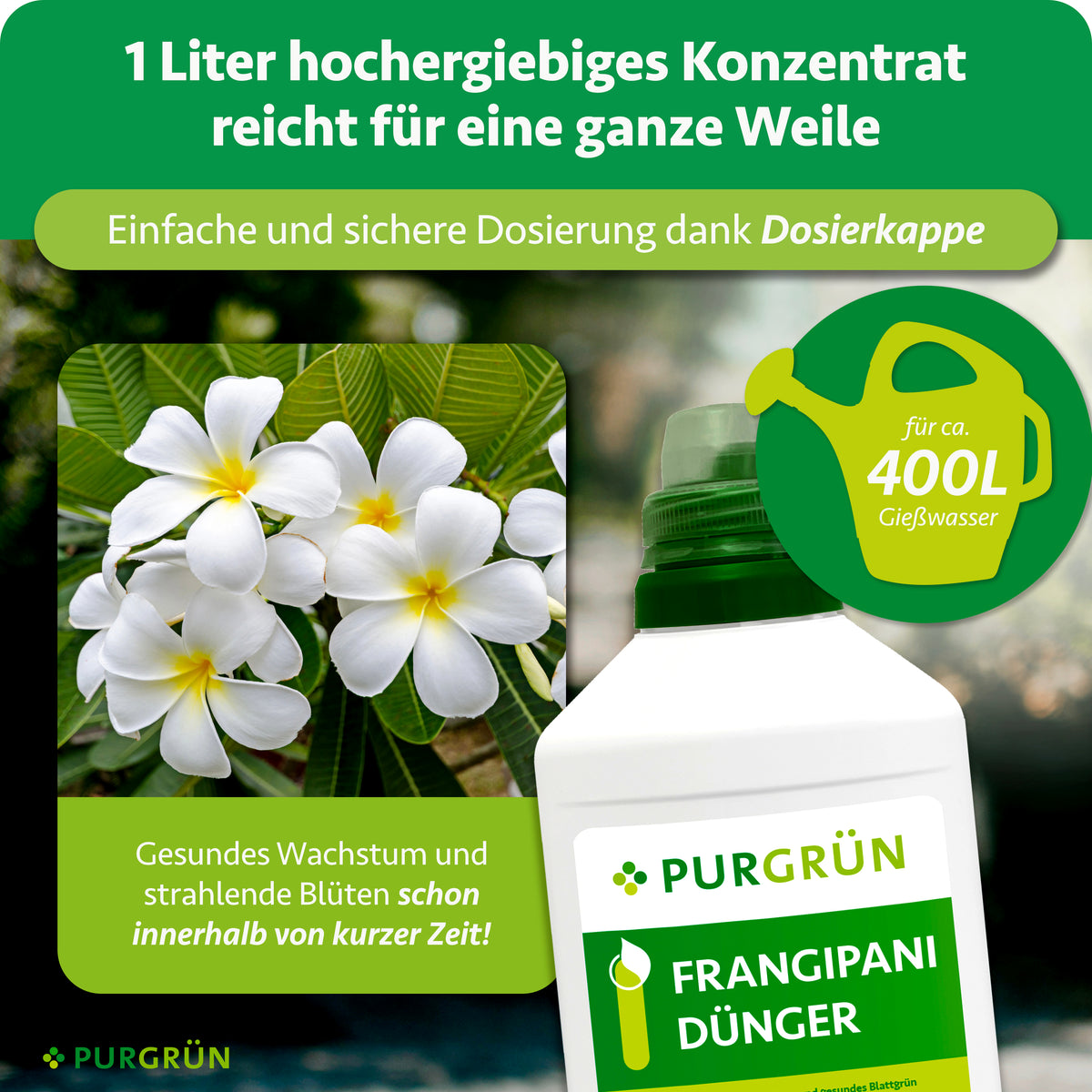 1 Liter Frangipani-Dünger-Konzentrat reicht für ca. 400 Liter Gießwasser; die Dosierkappe ermöglicht eine einfache und sichere Dosierung.