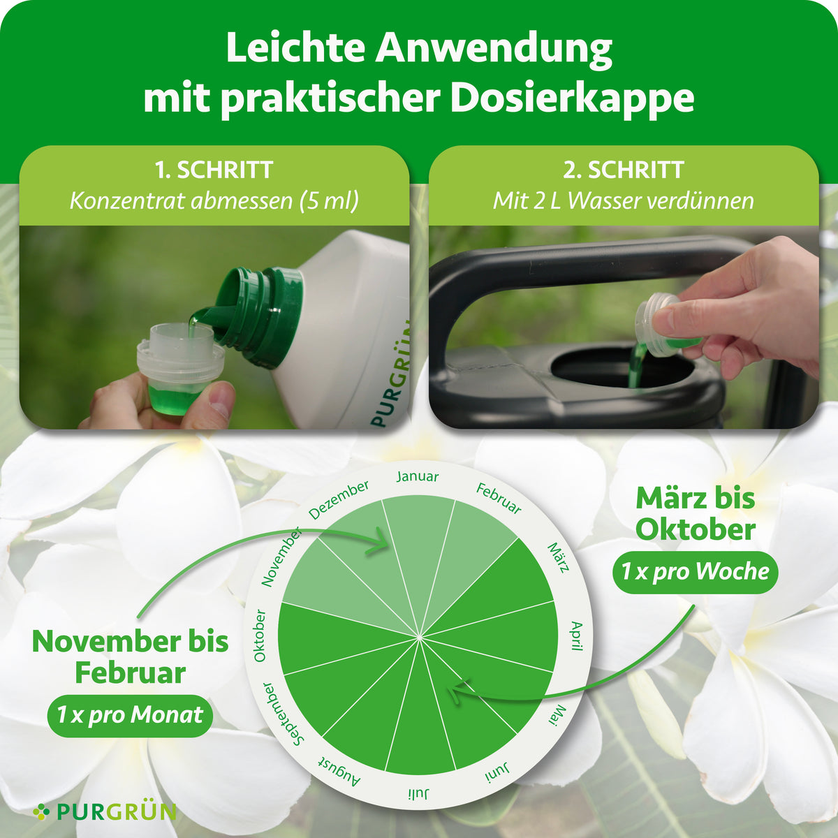 Anwendung: 5 ml Konzentrat abmessen und mit 2 Liter Wasser verdünnen; März bis Oktober einmal pro Woche, November bis Februar einmal pro Monat.