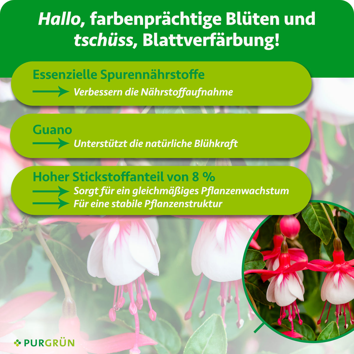 Essenzielle Spurennährstoffe verbessern die Nährstoffaufnahme, Guano unterstützt die natürliche Blühkraft. 8 % Stickstoff sorgen für gleichmäßiges Wachstum und eine stabile Pflanzenstruktur.
