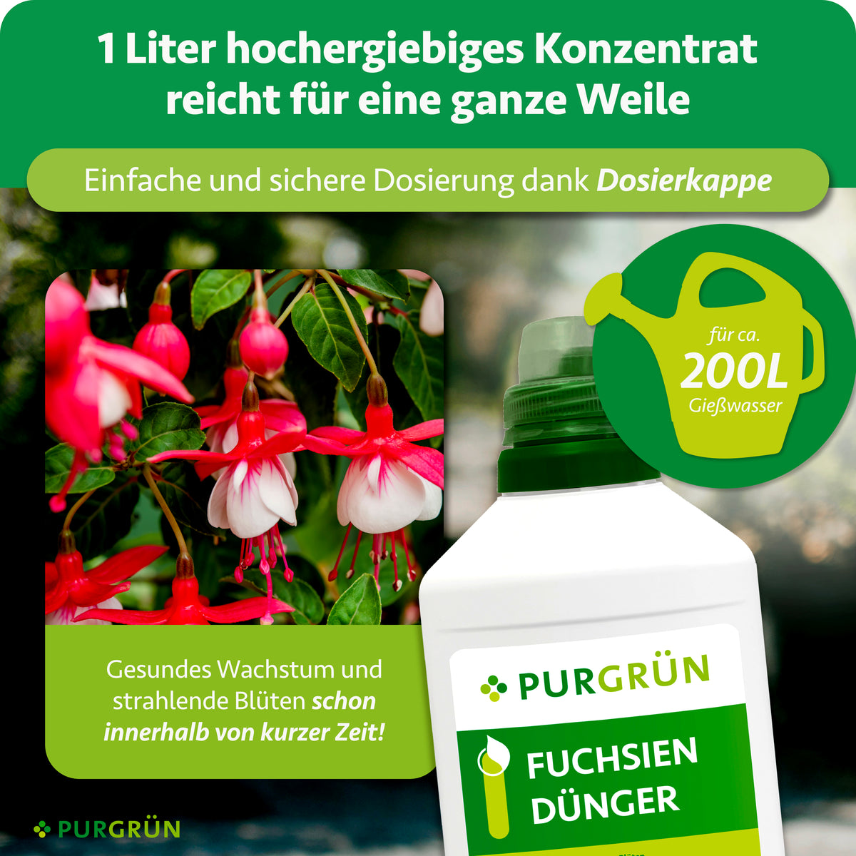 1 Liter hochergiebiges Fuchsien-Dünger-Konzentrat mit Dosierkappe reicht für ca. 200 Liter Gießwasser.