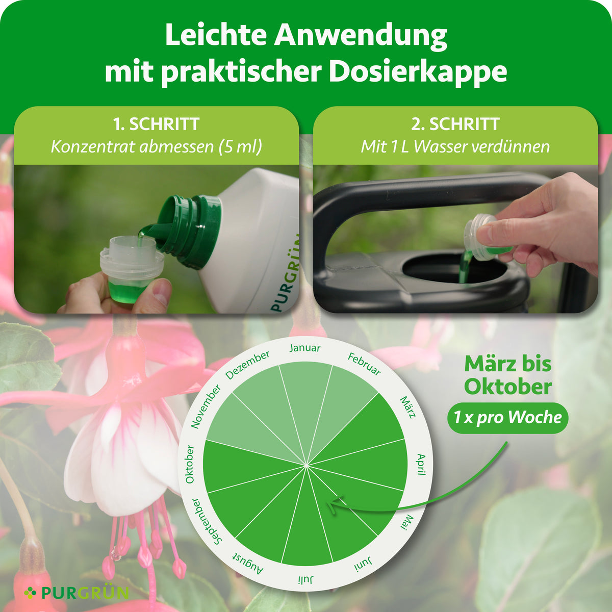 Anwendung: 5 ml Konzentrat abmessen und mit 1 Liter Wasser verdünnen. Von März bis Oktober einmal pro Woche anwenden.