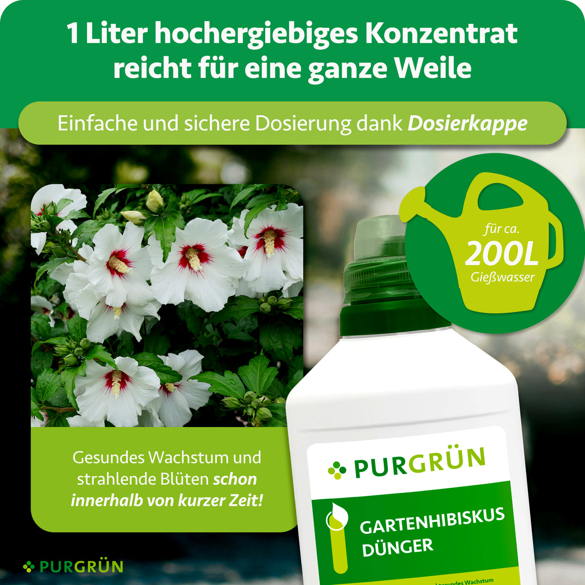 1 Liter hochergiebiges Konzentrat mit Dosierkappe reicht für ca. 200 Liter Gießwasser und unterstützt gesundes Wachstum sowie strahlende Blüten.