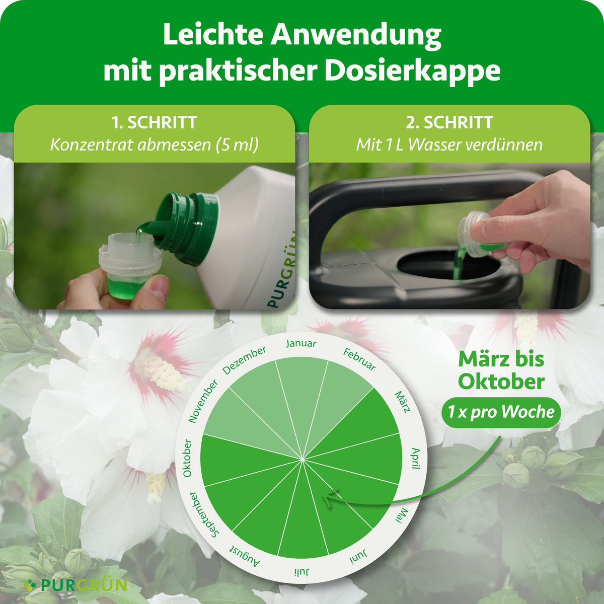 Anwendung: 5 ml Konzentrat abmessen und mit 1 Liter Wasser verdünnen. Von März bis Oktober einmal pro Woche anwenden.