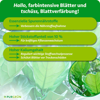 Essenzielle Spurennährstoffe verbessern die Nährstoffaufnahme, 10 % Stickstoff fördern kräftiges Wachstum und ein hoher Kaliumgehalt unterstützt Stoffwechselprozesse sowie den Schutz vor Trockenschäden.
