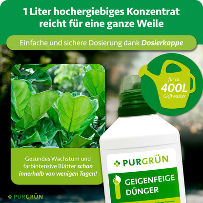 1 Liter Konzentrat mit Dosierkappe reicht für ca. 400 Liter Gießwasser; gesundes Wachstum und farbintensive Blätter werden innerhalb weniger Tage versprochen.