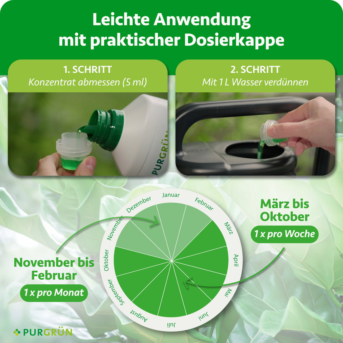 Anwendung: 5 ml Konzentrat mit 1 Liter Wasser verdünnen. Von März bis Oktober einmal pro Woche, von November bis Februar einmal pro Monat düngen.