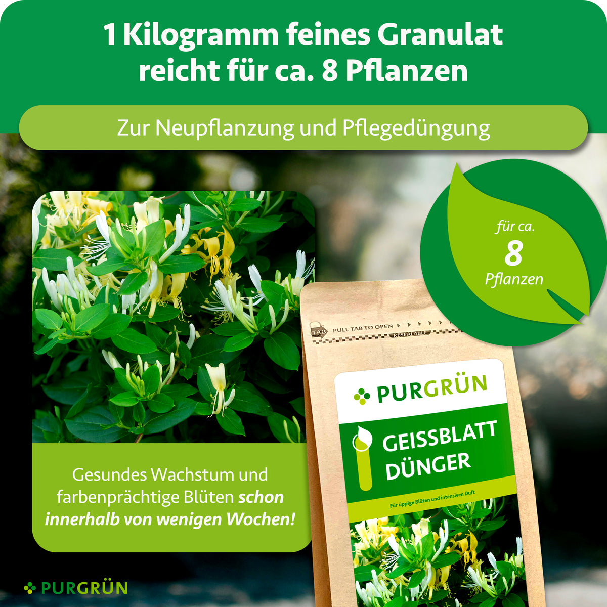 1 kg feines Granulat reicht für ca. 8 Pflanzen und eignet sich zur Neupflanzung und Pflegedüngung. Gesundes Wachstum und farbenprächtige Blüten werden innerhalb weniger Wochen versprochen.