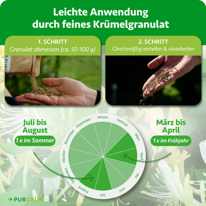 Anwendung: ca. 50–100 g Granulat abmessen, gleichmäßig verteilen und einarbeiten. Einmal im Frühjahr von März bis April und einmal im Sommer von Juli bis August düngen.