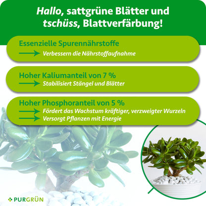 Spurennährstoffe verbessern die Nährstoffaufnahme, 7 % Kalium stabilisieren Stängel und Blätter, 5 % Phosphor fördern kräftige, verzweigte Wurzeln und versorgen die Pflanze mit Energie.