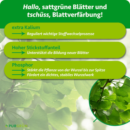 Extra Kalium reguliert wichtige Stoffwechselprozesse, hoher Stickstoffanteil unterstützt die Bildung neuer Blätter. Phosphor stärkt die Pflanze und fördert ein dichtes, stabiles Wurzelwerk.