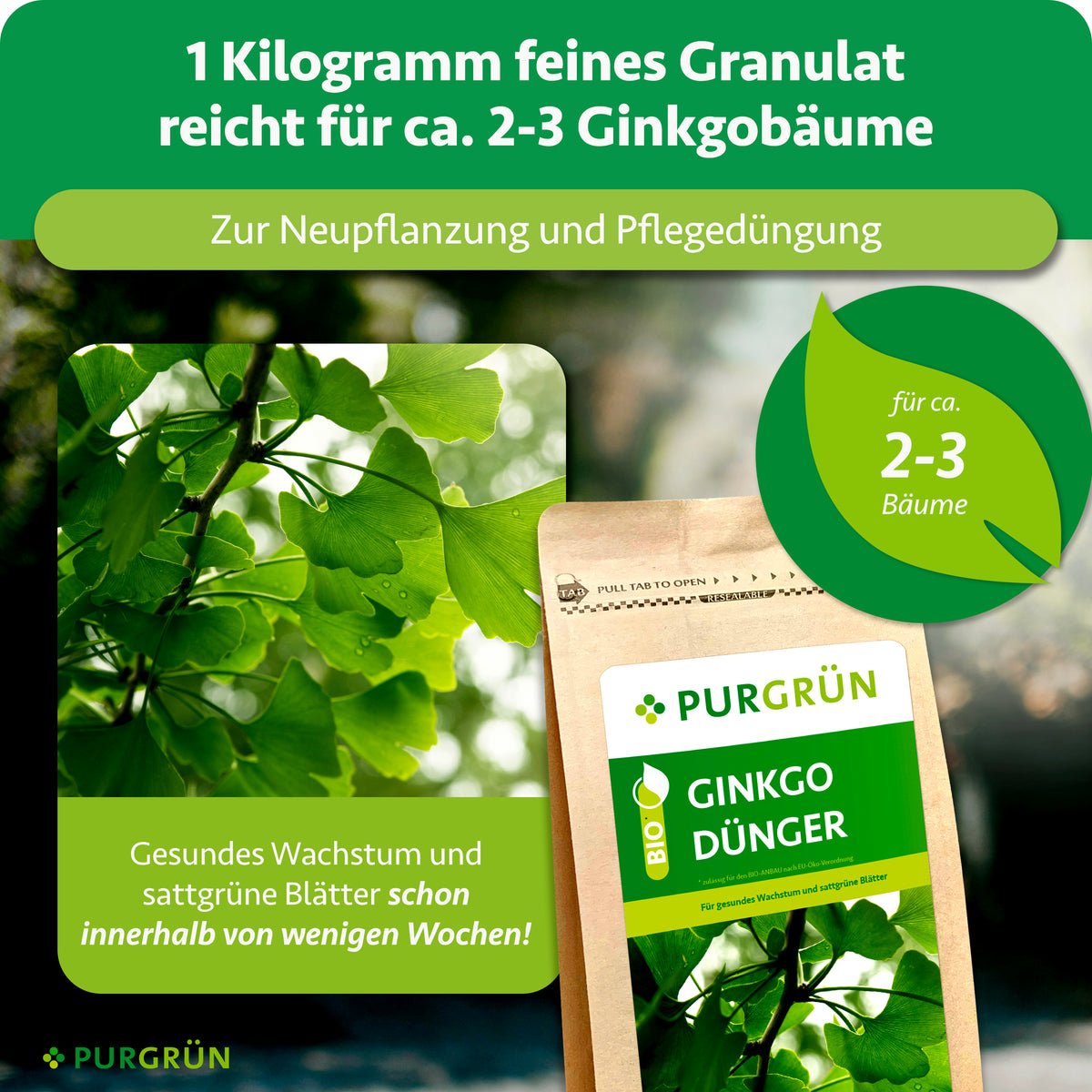 1 kg feines Granulat reicht für ca. 2–3 Ginkgobäume und eignet sich zur Neupflanzung und Pflegedüngung. Die Grafik verspricht gesundes Wachstum und sattgrüne Blätter innerhalb von wenigen Wochen.