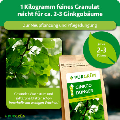 1 kg feines Granulat reicht für ca. 2–3 Ginkgobäume und eignet sich zur Neupflanzung und Pflegedüngung. Die Grafik verspricht gesundes Wachstum und sattgrüne Blätter innerhalb von wenigen Wochen.