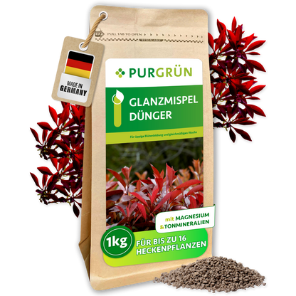 Purgrün Glanzmispel-Dünger im 1-kg-Beutel, umgeben von roten Glanzmispelzweigen und feinem Granulat.