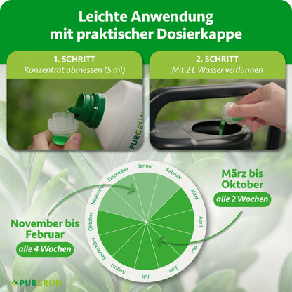 Anwendung: 5 ml Konzentrat mit 2 Litern Wasser verdünnen; von März bis Oktober alle 2 Wochen, von November bis Februar alle 4 Wochen düngen.