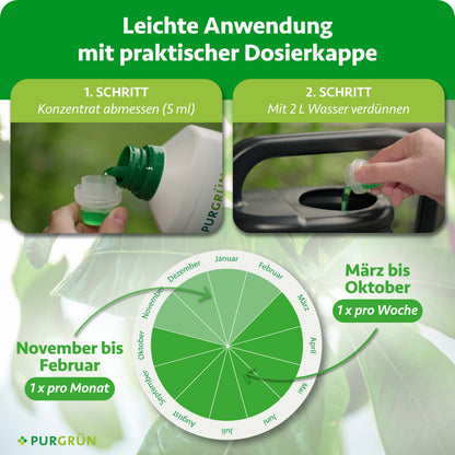 5 ml Konzentrat abmessen und mit 2 Litern Wasser verdünnen; März bis Oktober einmal pro Woche, November bis Februar einmal pro Monat anwenden.
