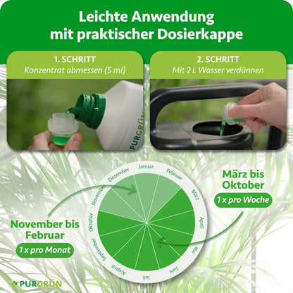 Anwendung: 5 ml Konzentrat abmessen und mit 2 Litern Wasser verdünnen. März bis Oktober einmal pro Woche, November bis Februar einmal pro Monat.