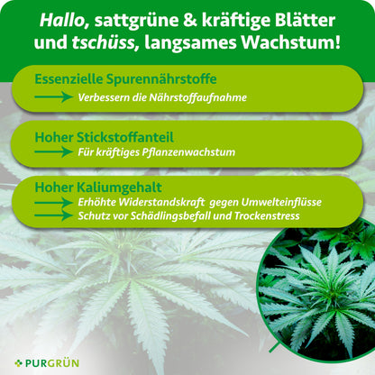 Infografik mit drei grünen Pfeilen und Text: Vorteile von essenziellen Spurennährstoffen, hoher Stickstoff- und Kaliumanteil für gesunde Cannabisblätter in der Wachstumsphase, dank Purgrün Cannabis Grow-Dünger 1 Liter. Hintergrund: Cannabisblätter.