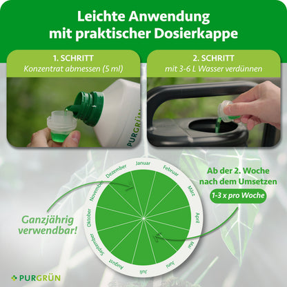 Eine Person gießt Purgrün Cannabis Grow-Dünger 1 Liter aus einer Flasche mit grünem Deckel in eine Gießkanne. Eine Tabelle zeigt die ganzjährige Nährstoffversorgung; ein deutscher Text erklärt die einfache Dosierung mit dem Deckel und die wöchentliche Anwendung während der Wachstumsphase.