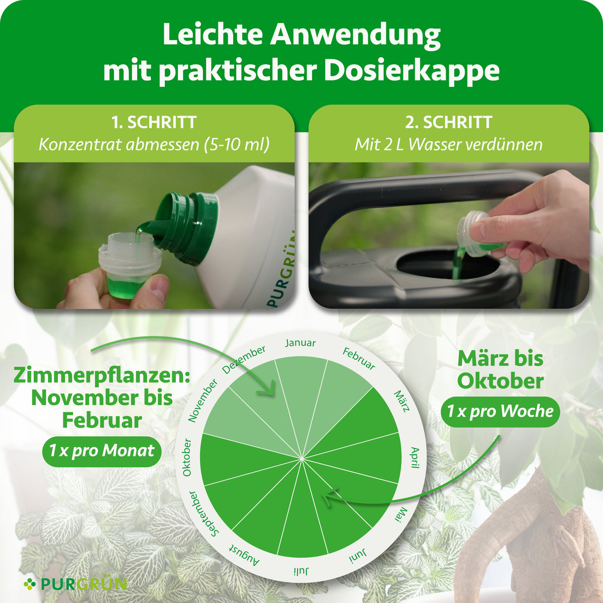 Anwendung: 5–10 ml Konzentrat abmessen und mit 2 Litern Wasser verdünnen. Zimmerpflanzen von November bis Februar einmal monatlich, von März bis Oktober einmal wöchentlich düngen.