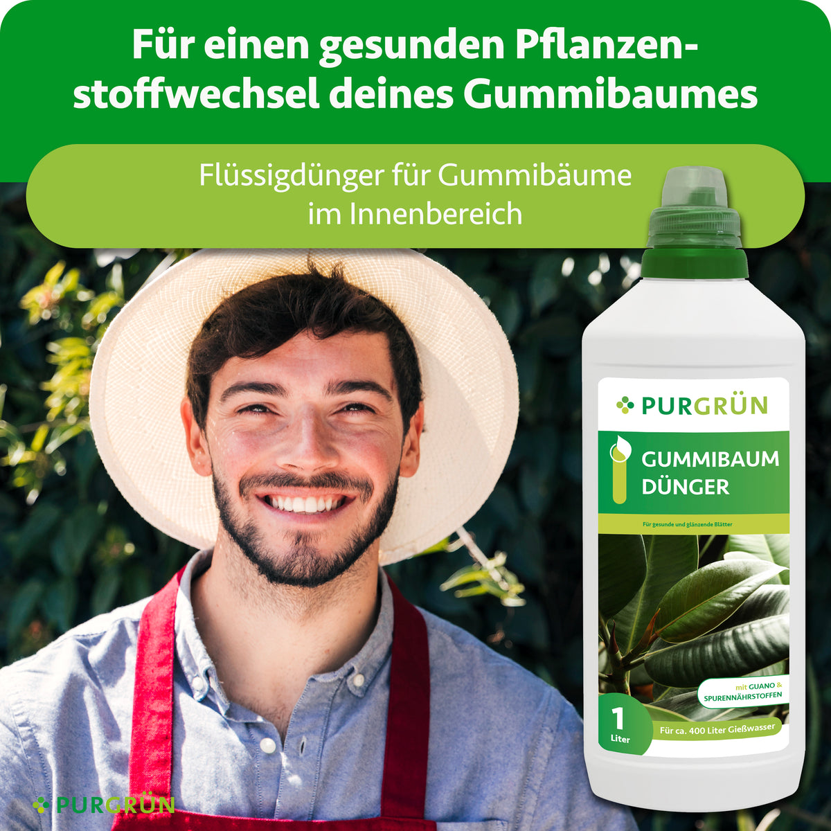 Flüssigdünger für Gummibäume im Innenbereich, dargestellt neben einem lächelnden Gärtner; für einen gesunden Pflanzenstoffwechsel.