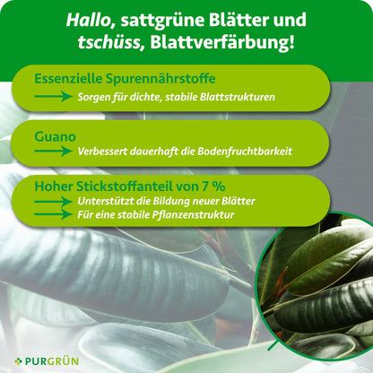 Essenzielle Spurennährstoffe sorgen für dichte, stabile Blattstrukturen, Guano verbessert dauerhaft die Bodenfruchtbarkeit. 7 % Stickstoff unterstützen neue Blätter und eine stabile Pflanzenstruktur.