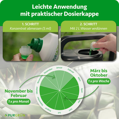 Anwendung: 5 ml Konzentrat abmessen und mit 2 L Wasser verdünnen. März bis Oktober 1× pro Woche, November bis Februar 1× pro Monat düngen.