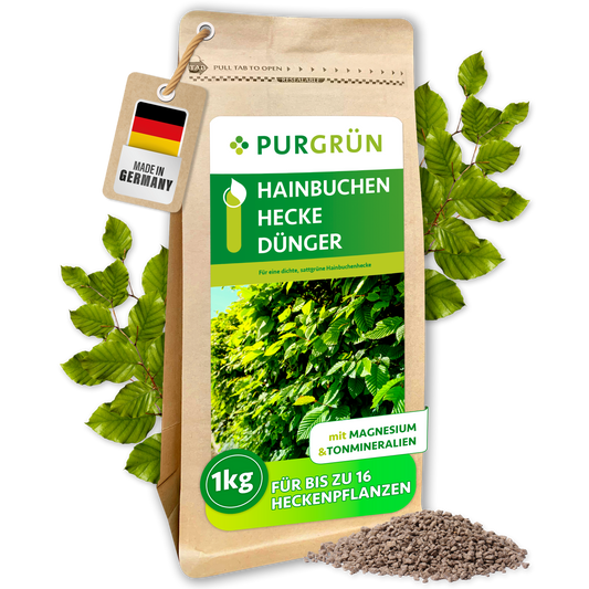 Purgrün Hainbuchenhecke-Dünger im 1-kg-Standbeutel, umgeben von Hainbuchenblättern und feinem Granulat.
