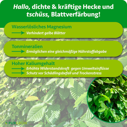 Wasserlösliches Magnesium verhindert gelbe Blätter, Tonmineralien ermöglichen eine gleichmäßige Nährstoffabgabe und Kalium stärkt die Widerstandskraft gegen Umwelteinflüsse, Schädlingsbefall und Trockenstress.