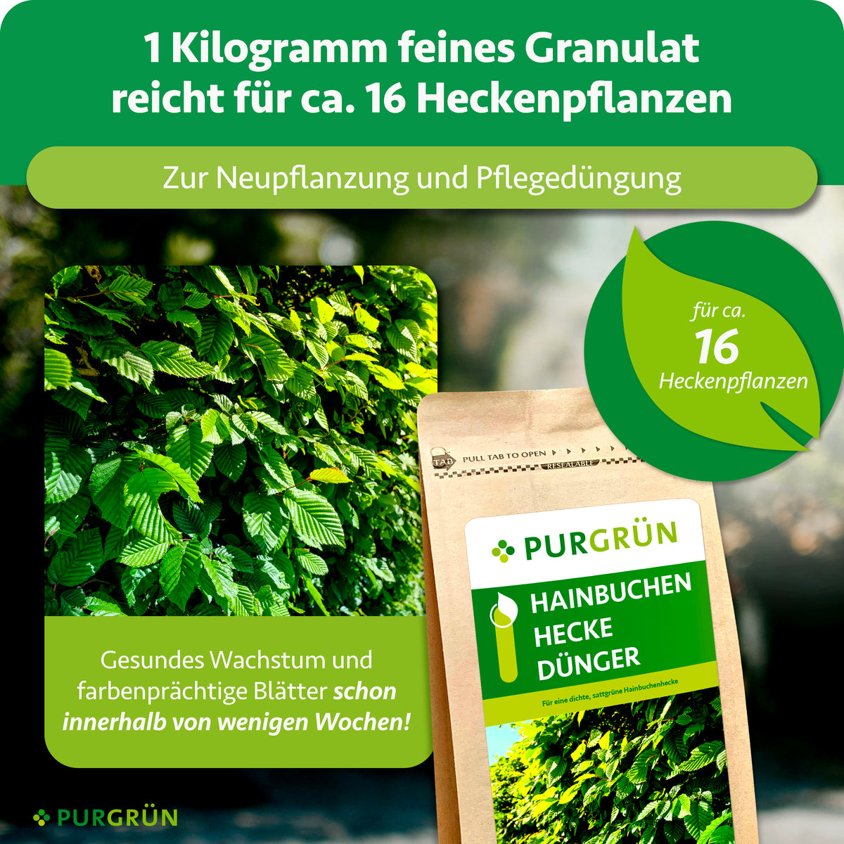 1 kg feines Granulat reicht für ca. 16 Heckenpflanzen und eignet sich zur Neupflanzung sowie Pflegedüngung.