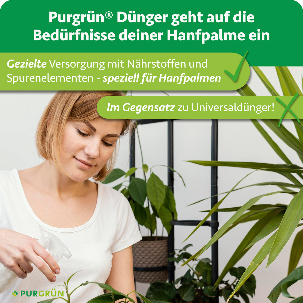Eine Frau pflegt eine Topfpalme im Haus. Der obige Text zeigt, dass Purgrün Hanfpalmen-Dünger 1 Liter Hanfpalmen mit optimalem Stickstoffgehalt und lebenswichtigen Spurennährstoffen versorgt. Grüne und gelbe Akzente unterstreichen das Design.