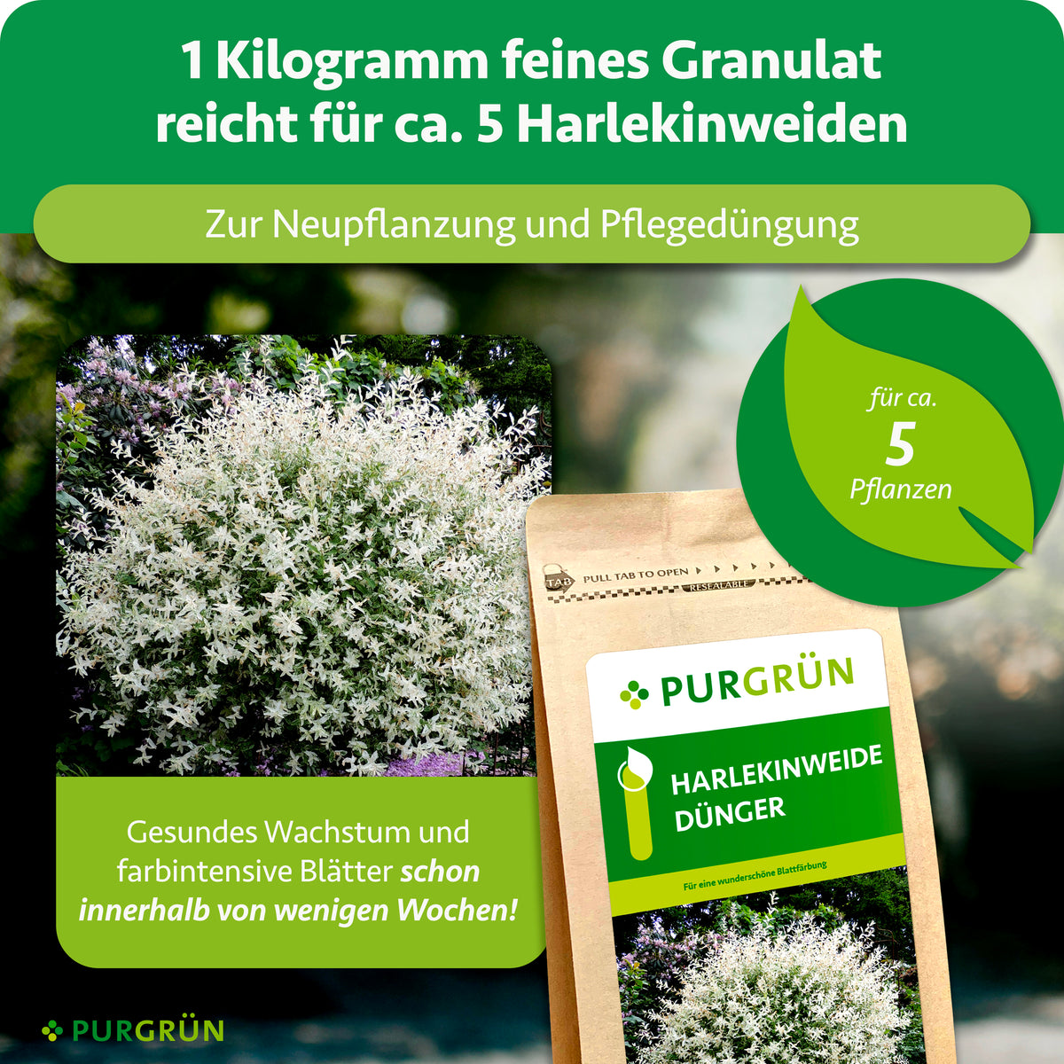 1 kg feines Granulat reicht zur Neu- und Pflegepflanzung für ca. 5 Harlekinweiden und fördert gesundes Wachstum sowie farbintensive Blätter innerhalb weniger Wochen.