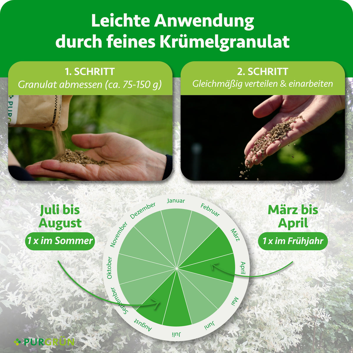 Anwendung: 75–150 g Granulat abmessen, gleichmäßig verteilen und einarbeiten; einmal von März bis April und einmal von Juli bis August düngen.